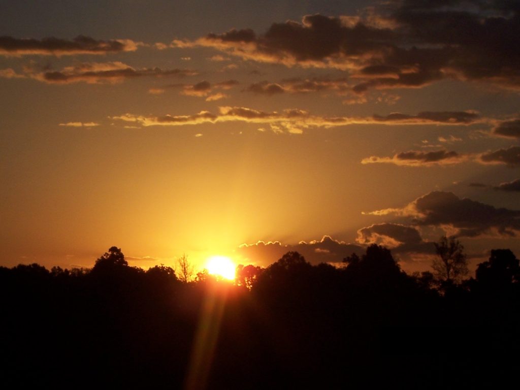 Rolling Ridge Banner